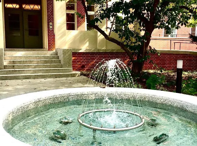 Parking Free Appartement *